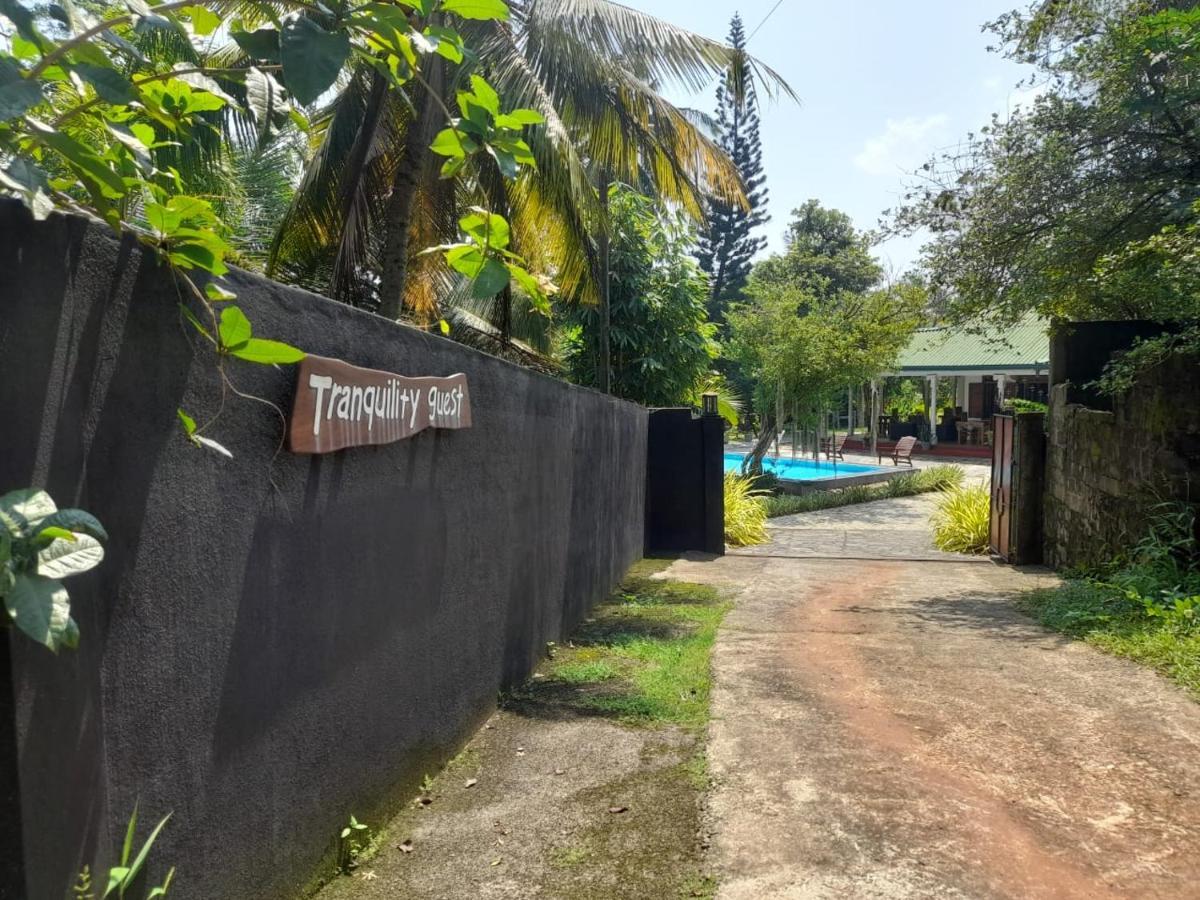 Tranquility Guest House Hikkaduwa Exterior photo