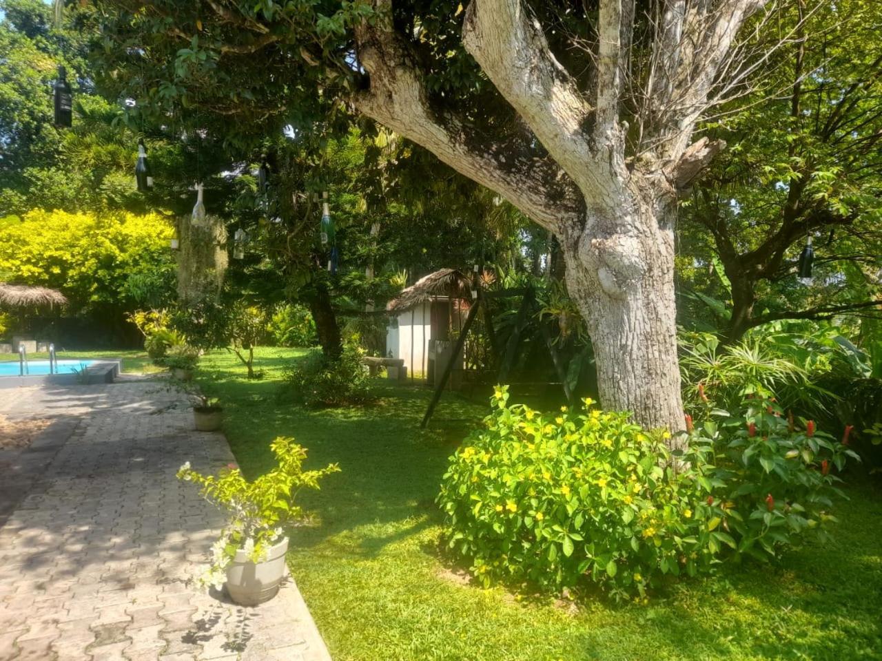 Tranquility Guest House Hikkaduwa Exterior photo