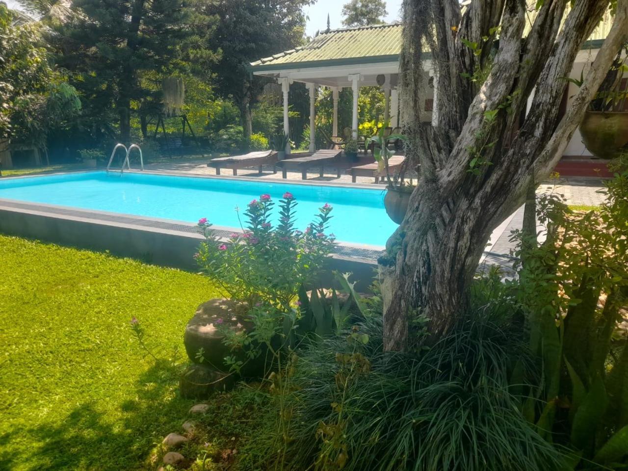 Tranquility Guest House Hikkaduwa Exterior photo