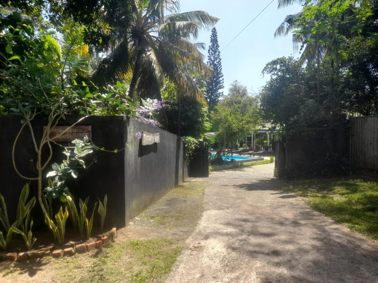 Tranquility Guest House Hikkaduwa Exterior photo