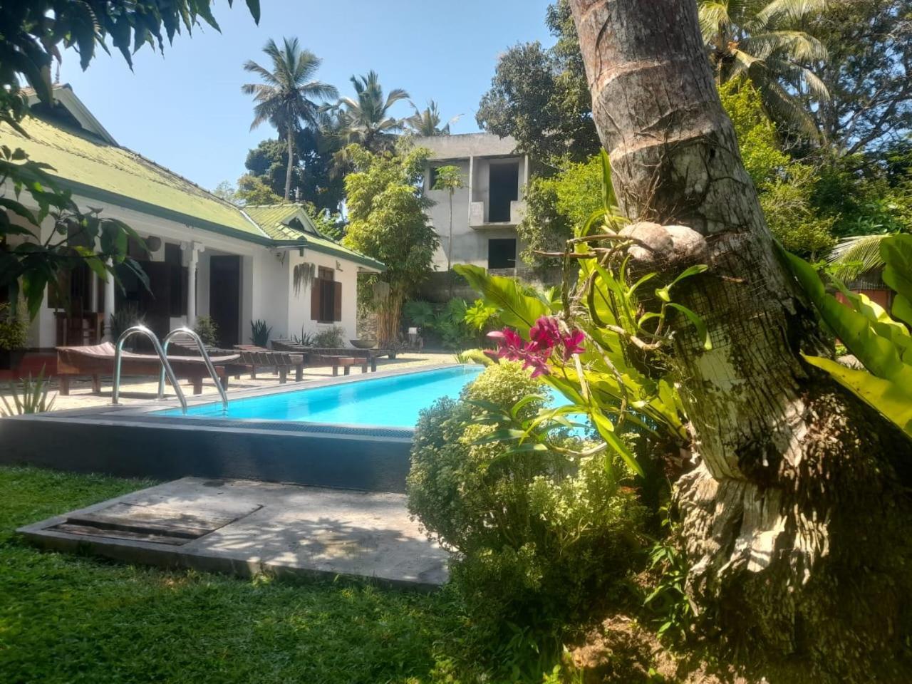 Tranquility Guest House Hikkaduwa Exterior photo