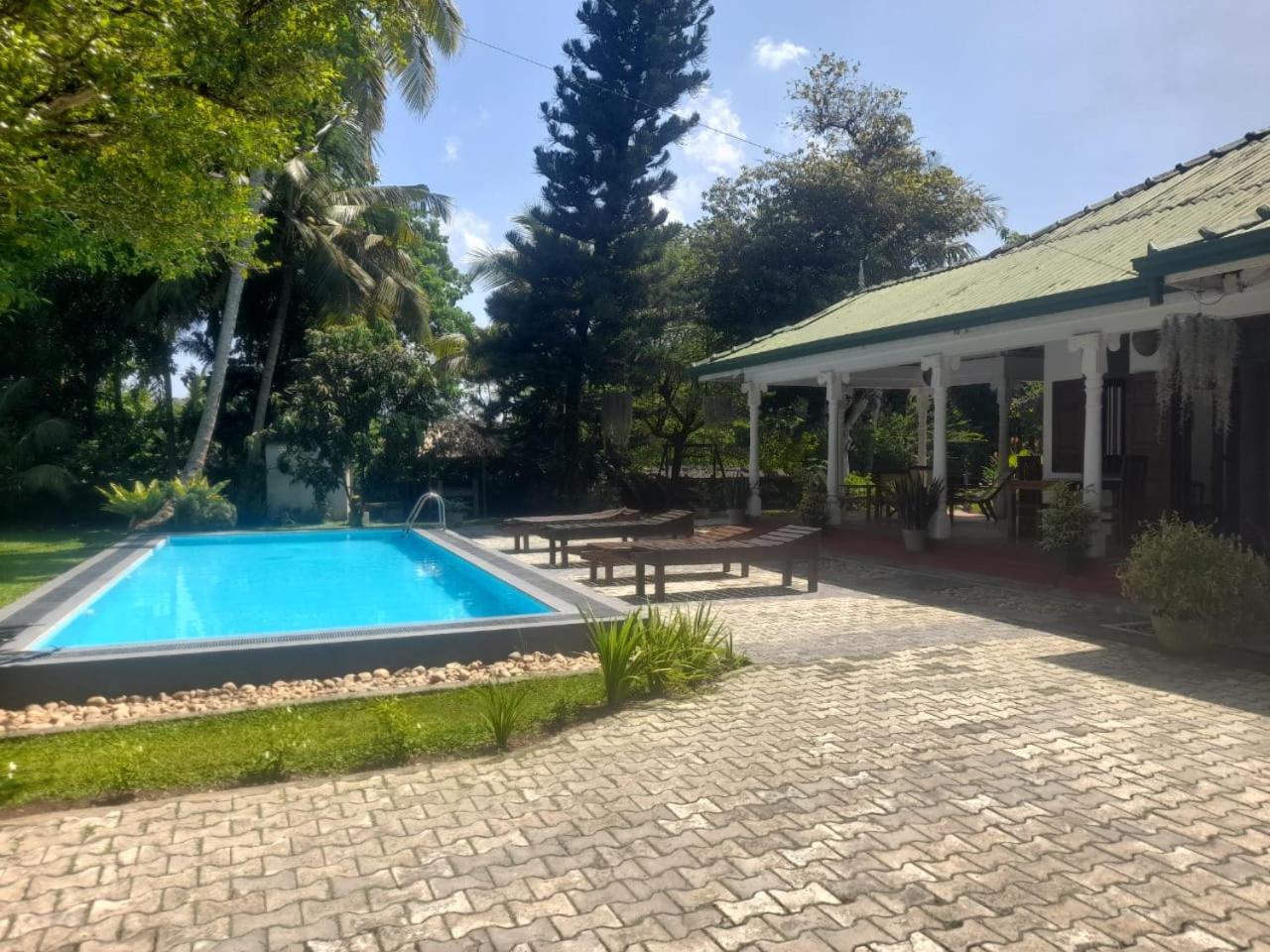 Tranquility Guest House Hikkaduwa Exterior photo