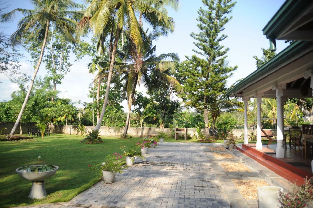 Tranquility Guest House Hikkaduwa Exterior photo